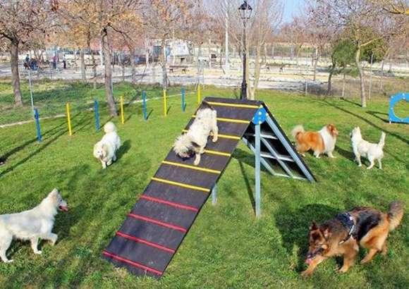 Parque canino en Caniles (Granada) 